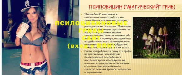 прущий лед Белоозёрский