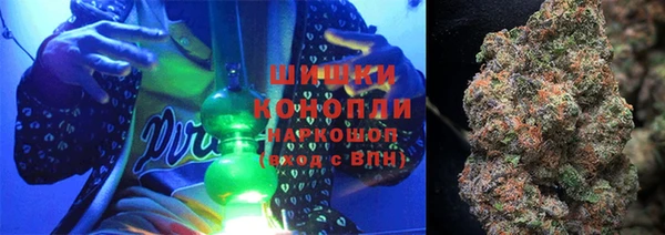 PSILOCYBIN Белокуриха