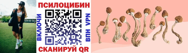 Псилоцибиновые грибы GOLDEN TEACHER  Туймазы 